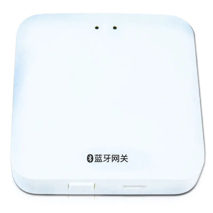 Garden Irrigation Bluetooth Graffiti APP Sprinkler Timer Watering Device